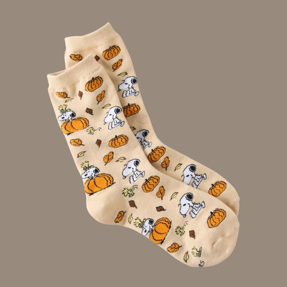 Peanuts Snoopy Fall Slippers & Socks Bundle - American Eagle AE SIZE 9 - NWT - Picture 7 of 12